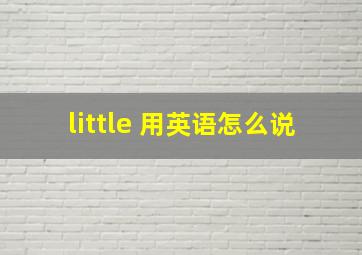 little 用英语怎么说